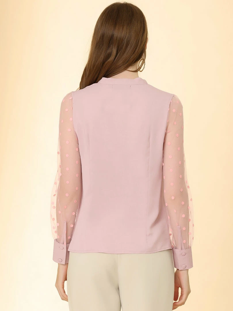 Allegra K Women's Tie Neck Work Tops Elegant Semi-Sheer Mesh Polka Dots Blouse 8 Allegra K Women's Tie Neck Work Tops Elegant Semi-Sheer Mesh Polka Dots Blouse