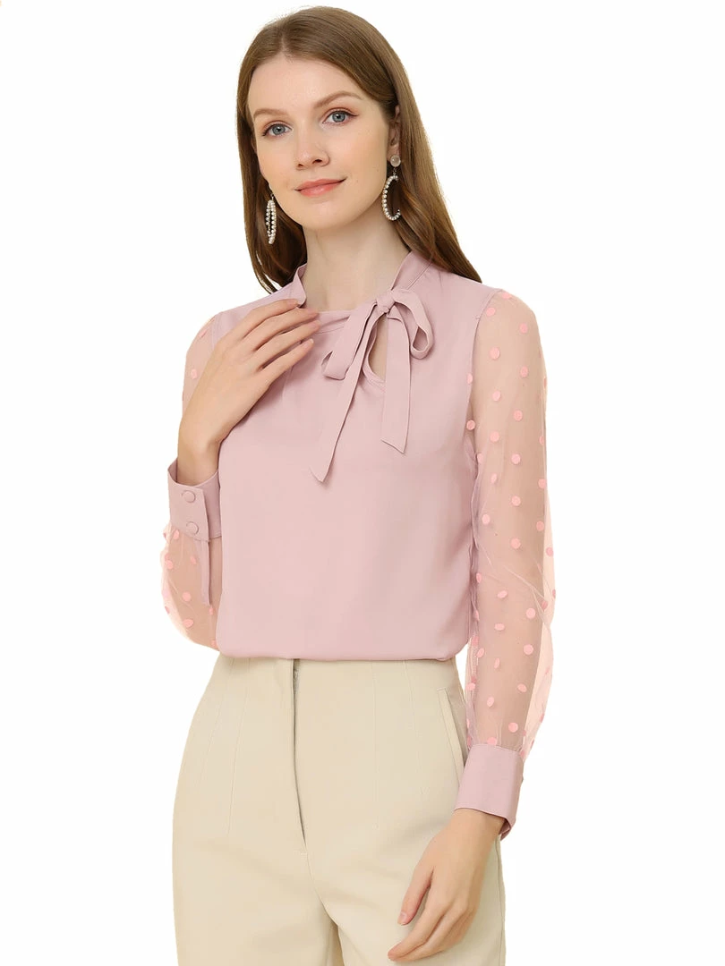 Allegra K Women's Tie Neck Work Tops Elegant Semi-Sheer Mesh Polka Dots Blouse 4 Allegra K Women's Tie Neck Work Tops Elegant Semi-Sheer Mesh Polka Dots Blouse