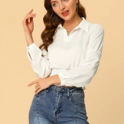 Allegra K Women's Smocked Crop Top Sheer Mesh Long Sleeve Point Collar Chiffon Blouse