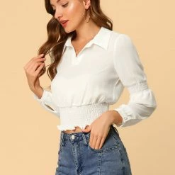 Allegra K Women's Smocked Crop Top Sheer Mesh Long Sleeve Point Collar Chiffon Blouse