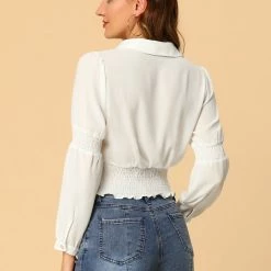 Allegra K Women's Smocked Crop Top Sheer Mesh Long Sleeve Point Collar Chiffon Blouse