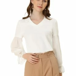 Allegra K Women's Elegant Sheer Long Sleeves Lace Chiffon V Neck Blouse Tops