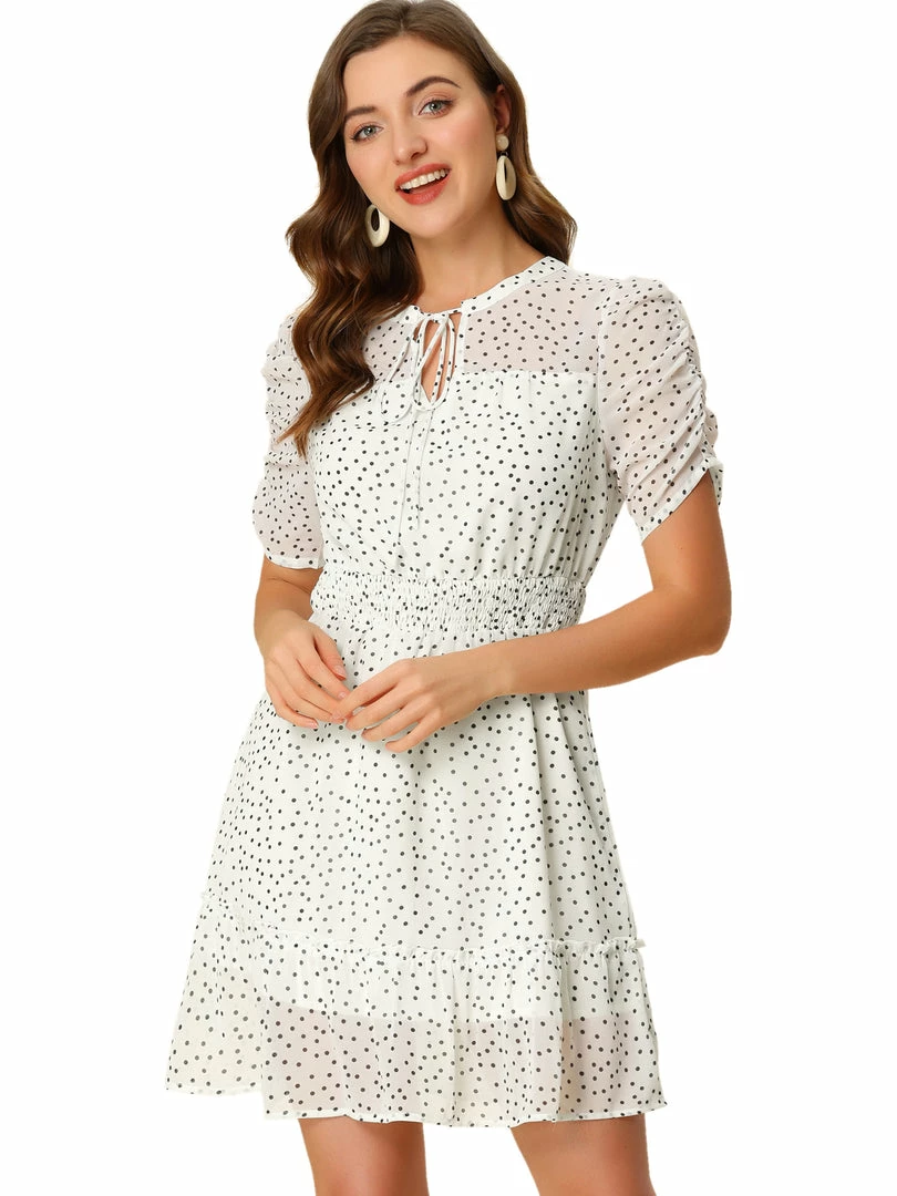 Allegra K Women's Polka Dots Bow Tie Neck Elastic Waist Ruched Puff Sleeves Chiffon Dress 5 Allegra K Women's Polka Dots Bow Tie Neck Elastic Waist Ruched Puff Sleeves Chiffon Dress
