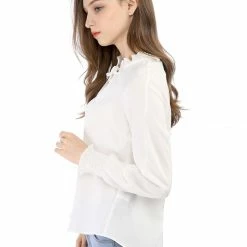 Allegra K Casual Bow Tie Long Sleeve Shirt Chiffon Blouse Women
