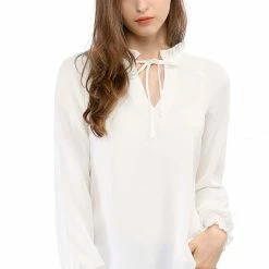 Allegra K Casual Bow Tie Long Sleeve Shirt Chiffon Blouse Women