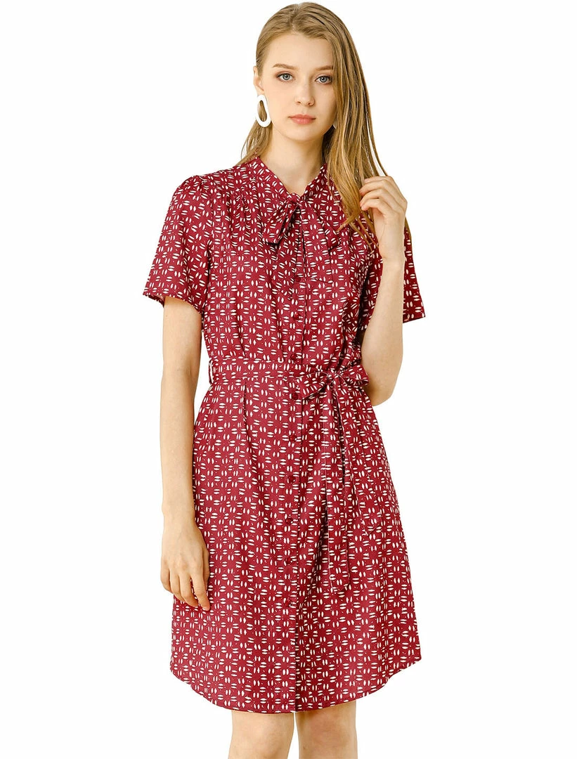 Allegra K Women's Dot Printed Tie Neck Button Down Belt Vintage Dress 3 Allegra K Women's Dot Printed Tie Neck Button Down Belt Vintage Dress