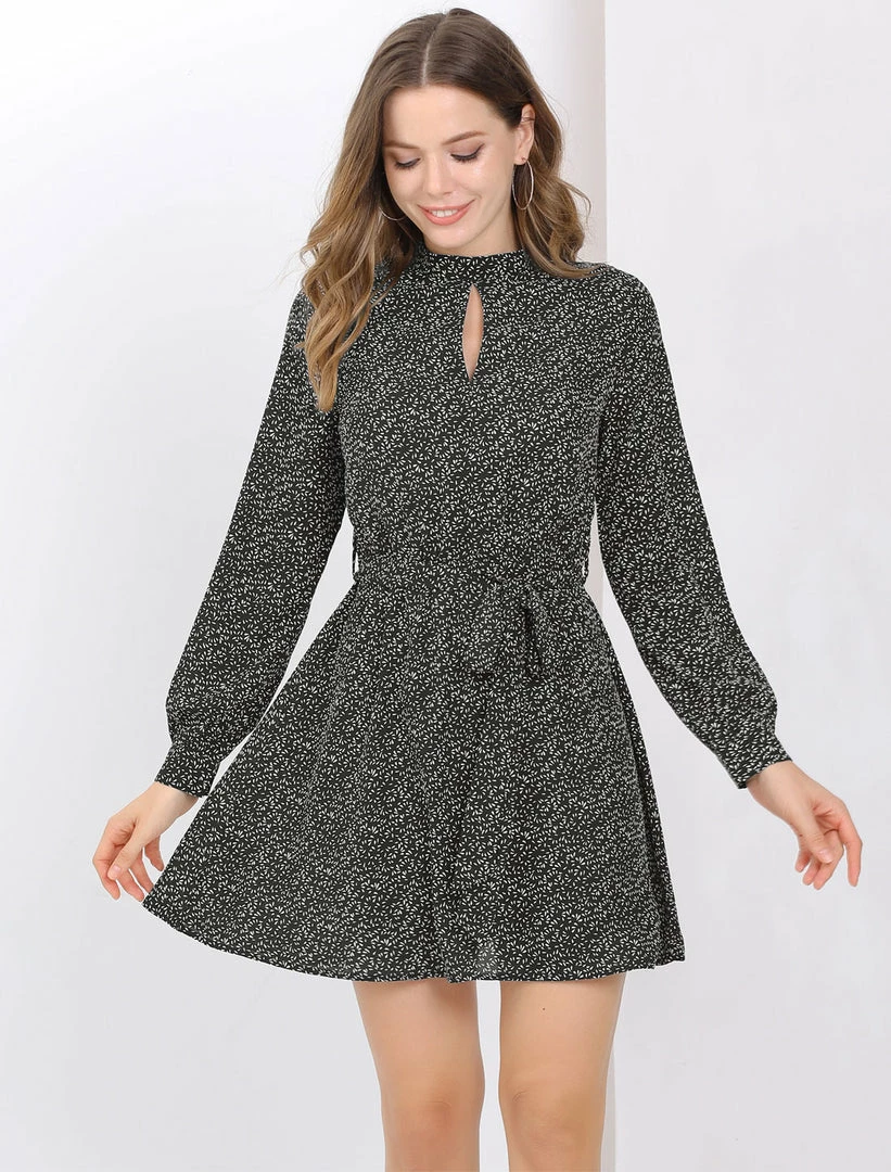 Allegra K Women's Dots Long Sleeve Mock Neck Keyhole Tie Waist A-line Dress 4 Allegra K Women's Dots Long Sleeve Mock Neck Keyhole Tie Waist A-line Dress