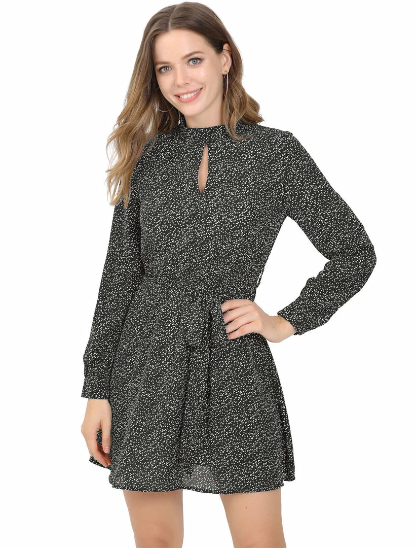 Allegra K Women's Dots Long Sleeve Mock Neck Keyhole Tie Waist A-line Dress 3 Allegra K Women's Dots Long Sleeve Mock Neck Keyhole Tie Waist A-line Dress