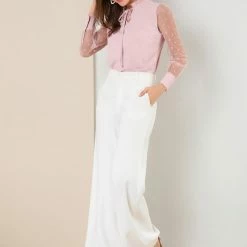 Allegra K Women's Elegant Tie Neck Ruffle Collar Shirts Sheer Mesh Long Sleeve Blouse