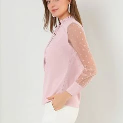 Allegra K Women's Elegant Tie Neck Ruffle Collar Shirts Sheer Mesh Long Sleeve Blouse