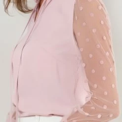 Allegra K Women's Elegant Tie Neck Ruffle Collar Shirts Sheer Mesh Long Sleeve Blouse