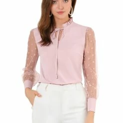 Allegra K Women's Elegant Tie Neck Ruffle Collar Shirts Sheer Mesh Long Sleeve Blouse