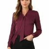 Allegra K Women's Elegant Tie Neck Button Front Semi-Sheer Lace Sleeve Satin Blouse