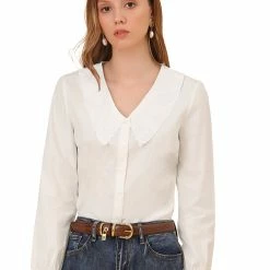 Allegra K Women's Lace Embroidery Peter Pan Collar Shirt Lantern Sleeve Button Blouse Top