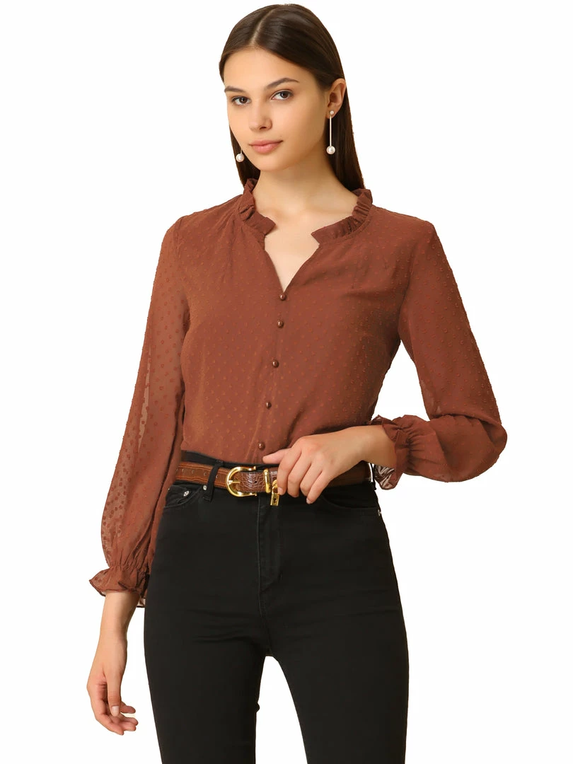 Allegra K Women's Elegant Chiffon Top Long Sleeve Mesh V Neck Blouse 3 Allegra K Women's Elegant Chiffon Top Long Sleeve Mesh V Neck Blouse