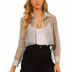 Allegra K Women's Button Front Blouse Tie Hem Point Collar Mesh Sheer Long Sleeve Shirt Top