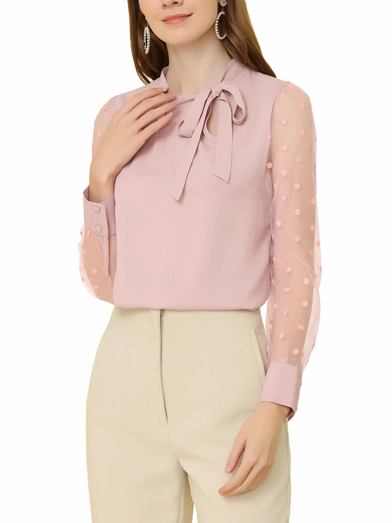 Allegra K Women's Tie Neck Work Tops Elegant Semi-Sheer Mesh Polka Dots Blouse 3 Allegra K Women's Tie Neck Work Tops Elegant Semi-Sheer Mesh Polka Dots Blouse