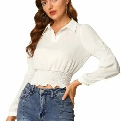 Allegra K Women's Smocked Crop Top Sheer Mesh Long Sleeve Point Collar Chiffon Blouse