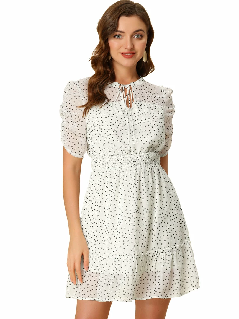 Allegra K Women's Polka Dots Bow Tie Neck Elastic Waist Ruched Puff Sleeves Chiffon Dress 3 Allegra K Women's Polka Dots Bow Tie Neck Elastic Waist Ruched Puff Sleeves Chiffon Dress